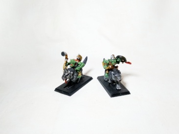 Warhammer Fantasy Age of Sigmar Orcs & Goblins Wolf Riders x10 (Pro-Painted)
