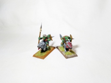 Warhammer Fantasy Age of Sigmar Orcs & Goblins Wolf Riders x10 (Pro-Painted)