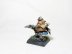 Warhammer Fantasy Battles Age of Sigmar Dwarf Crossbowmen x6 + 1 (Pro-Painted)