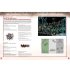 Waaagh! Ghazghkull - A Codex: Orks Supplement