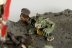 Warhammer Fantasy Battles Doom Diver Catapult x1 (99810209021) (Metal, Painted)