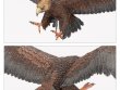 Great Eagles of the Misty Mountains