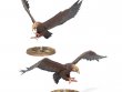 Great Eagles of the Misty Mountains
