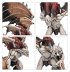 Spearhead: Bloodcrave Hunt