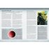 Farsight Enclaves - A Codex: Tau Empire Supplement
