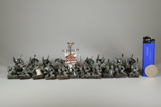 Warhammer Fantasy Battles Night Runners x20 (99120206002) (Painted)