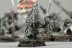 Warhammer Fantasy Battles Night Runners x20 (99120206002) (Painted)
