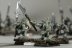 Warhammer Fantasy Battles Night Runners x20 (99120206002) (Painted)