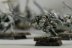Warhammer Fantasy Battles Night Runners x20 (99120206002) (Painted)