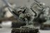 Warhammer Fantasy Battles Night Runners x20 (99120206002) (Painted)