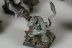 Warhammer Fantasy Battles Night Runners x20 (99120206002) (Painted)