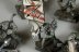 Warhammer Fantasy Battles Night Runners x20 (99120206002) (Painted)