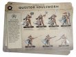 Questor Soulsworn (предзаказ 2023, Warcry)