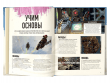 Мир игры Apex Legends