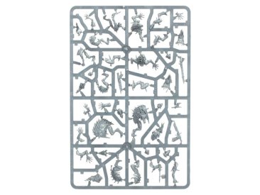 Royal Beastflayers (Warcry, предзаказ 2025)