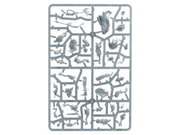 Royal Beastflayers (Warcry, предзаказ 2025)