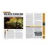 White Dwarf June 2017