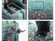 Cursed Sepulchre (предзаказ 2025)