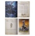 Arcane Journal: Dawn of the Storm Dragon (предзаказ 2025)