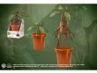 Мягкая игрушка Гарри Поттер Корень мандрагоры