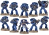 Space Marine Tactical Squad 2013
