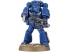 Space Marine Tactical Squad 2013