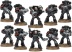 Space Marine Tactical Squad 2013