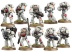 Space Marine Tactical Squad 2013