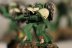 Warhammer 40k Dark Angel Tactical Squad x10 (Painted)