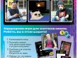 Нейромемы 2.0. Генератор огненного настроения