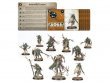 Rotmire Creed (Warcry)