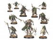 Rotmire Creed (Warcry)
