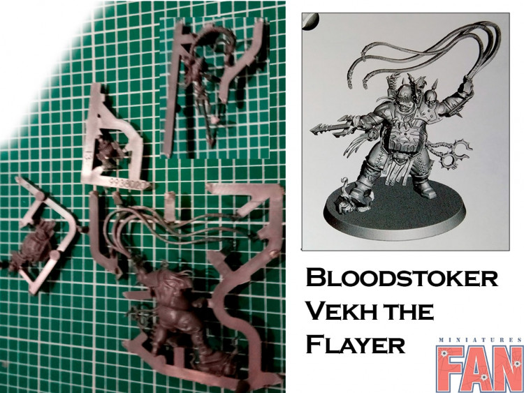 Age of Sigmar Bloodstoker Vekh the Flayer