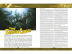 Pathfinder. Настольная ролевая игра: Город Золотой Смерти