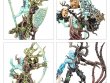 Warcry: Twistweald