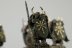 Warhammer Fantasy Battles Chaos Warriors x4 (99120201047) (Painted)