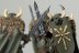 Warhammer Fantasy Battles Chaos Warriors x4 (99120201047) (Painted)