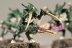 Warhammer 40K Tyranid Warriors x3 (Painted)