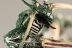 Warhammer 40K Tyranid Warriors x3 (Painted)