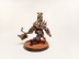 Warhammer Age of Sigmar Blades of Khorne Aspiring Deathbringer with Goreaxe and Skullhammer (Pro-Painted)