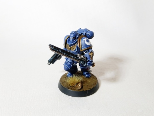 Warhammer 40k Space Marine Primaris Assault Intercessors x5 (Pro-Painted)