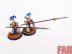 Warhammer Age of Sigmar Lumineth Realm-Lords Vanari Auralan Wardens x10 (Pro-Painted)