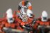 Warhammer 40K Eldar Guardians #1 x10 (99120104018) (Painted)