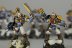 Warhammer 40000 Space Wolves Scout Squad x5 (Painted)