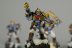Warhammer 40000 Space Wolves Scout Squad x5 (Painted)