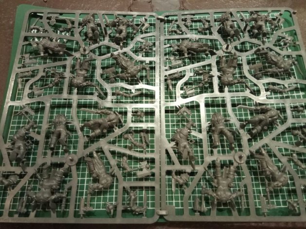 Age of Sigmar Bloodreavers x20