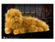 Мягкая игрушка Гарри Поттер Кот Живоглот (большой)