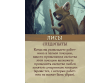 Эверделл: Фестиваль