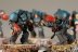 Warhammer 40k Space Marine Terminators x5 (Painted)
