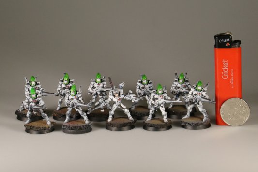 Warhammer 40K Eldar Guardians x10 (99120104018) (Painted)